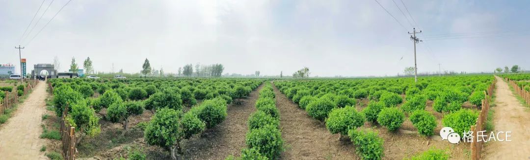 植保無人機(jī)比賽場(chǎng)地